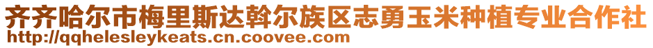 齊齊哈爾市梅里斯達(dá)斡爾族區(qū)志勇玉米種植專業(yè)合作社