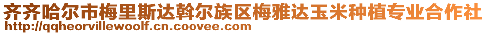 齊齊哈爾市梅里斯達(dá)斡爾族區(qū)梅雅達(dá)玉米種植專業(yè)合作社