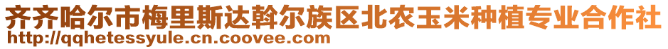 齊齊哈爾市梅里斯達(dá)斡爾族區(qū)北農(nóng)玉米種植專業(yè)合作社