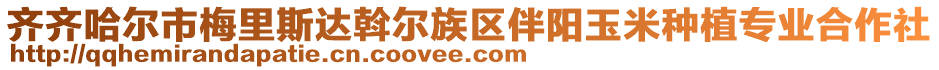 齊齊哈爾市梅里斯達斡爾族區(qū)伴陽玉米種植專業(yè)合作社