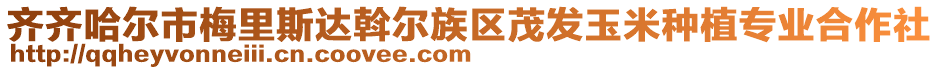 齊齊哈爾市梅里斯達斡爾族區(qū)茂發(fā)玉米種植專業(yè)合作社