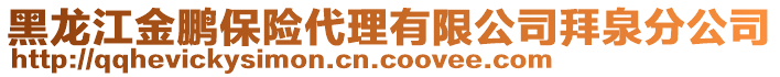 黑龙江金鹏保险代理有限公司拜泉分公司