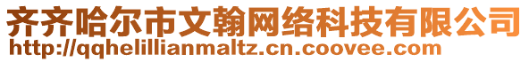 齊齊哈爾市文翰網(wǎng)絡(luò)科技有限公司