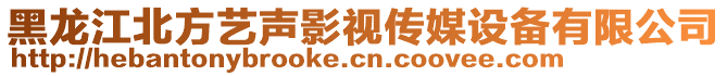 黑龍江北方藝聲影視傳媒設(shè)備有限公司