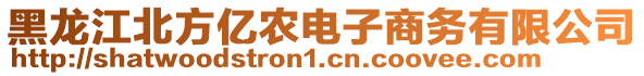 黑龍江北方億農(nóng)電子商務(wù)有限公司