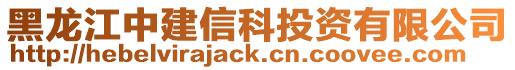 黑龍江中建信科投資有限公司