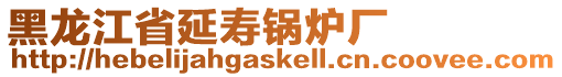 黑龍江省延壽鍋爐廠