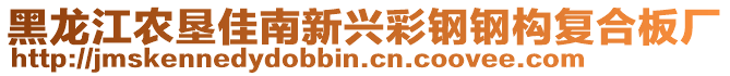 黑龍江農(nóng)墾佳南新興彩鋼鋼構(gòu)復(fù)合板廠