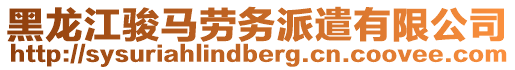 黑龍江駿馬勞務派遣有限公司