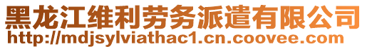 黑龍江維利勞務(wù)派遣有限公司