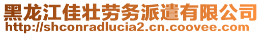 黑龍江佳壯勞務派遣有限公司