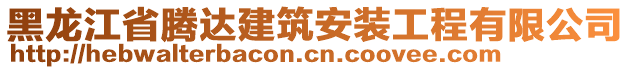 黑龍江省騰達建筑安裝工程有限公司