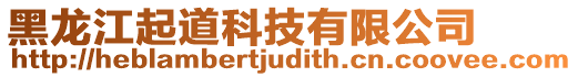 黑龍江起道科技有限公司