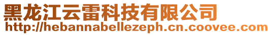 黑龍江云雷科技有限公司