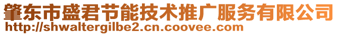 肇東市盛君節(jié)能技術(shù)推廣服務(wù)有限公司