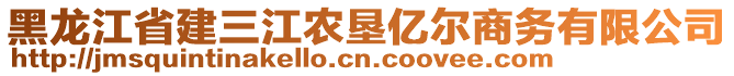 黑龍江省建三江農(nóng)墾億爾商務有限公司