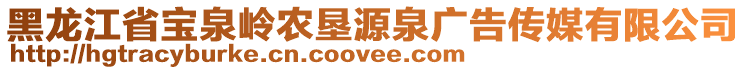 黑龍江省寶泉嶺農(nóng)墾源泉廣告?zhèn)髅接邢薰? style=