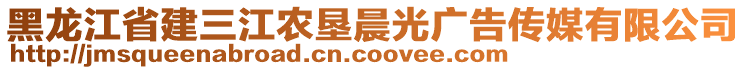 黑龍江省建三江農(nóng)墾晨光廣告?zhèn)髅接邢薰? style=