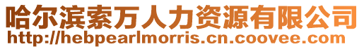 哈爾濱索萬人力資源有限公司
