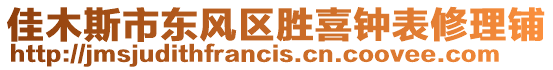 佳木斯市東風(fēng)區(qū)勝喜鐘表修理鋪