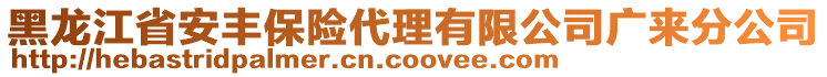 黑龍江省安豐保險(xiǎn)代理有限公司廣來分公司