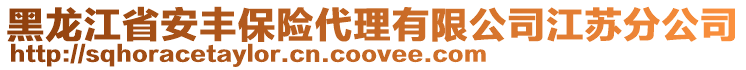 黑龍江省安豐保險代理有限公司江蘇分公司