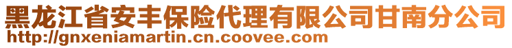 黑龍江省安豐保險代理有限公司甘南分公司