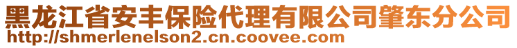 黑龍江省安豐保險代理有限公司肇東分公司