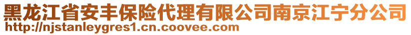 黑龍江省安豐保險代理有限公司南京江寧分公司