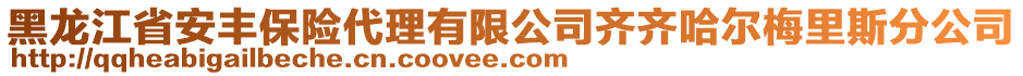 黑龍江省安豐保險(xiǎn)代理有限公司齊齊哈爾梅里斯分公司