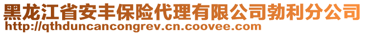 黑龍江省安豐保險(xiǎn)代理有限公司勃利分公司