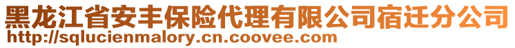 黑龍江省安豐保險代理有限公司宿遷分公司