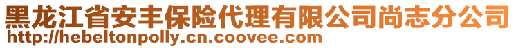 黑龍江省安豐保險代理有限公司尚志分公司