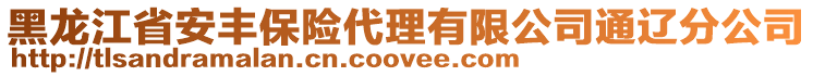 黑龍江省安豐保險(xiǎn)代理有限公司通遼分公司