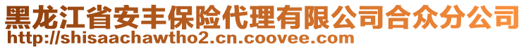 黑龍江省安豐保險代理有限公司合眾分公司