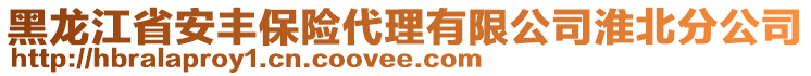 黑龍江省安豐保險(xiǎn)代理有限公司淮北分公司