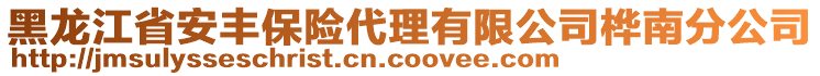 黑龍江省安豐保險(xiǎn)代理有限公司樺南分公司