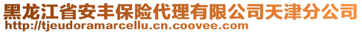 黑龍江省安豐保險(xiǎn)代理有限公司天津分公司