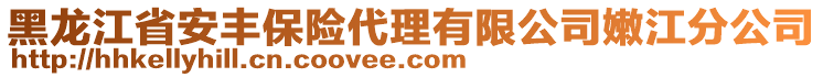 黑龍江省安豐保險代理有限公司嫩江分公司