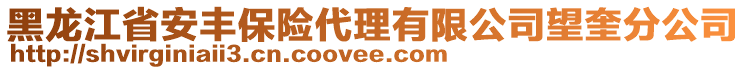 黑龍江省安豐保險(xiǎn)代理有限公司望奎分公司