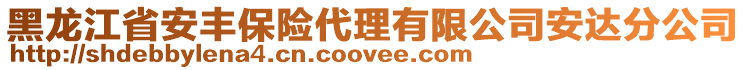 黑龍江省安豐保險代理有限公司安達(dá)分公司