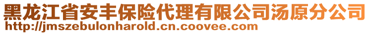 黑龍江省安豐保險(xiǎn)代理有限公司湯原分公司