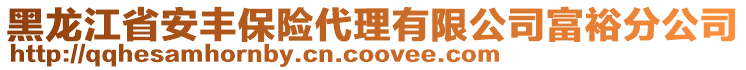 黑龍江省安豐保險代理有限公司富裕分公司