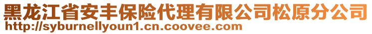 黑龍江省安豐保險代理有限公司松原分公司