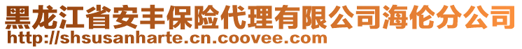 黑龍江省安豐保險代理有限公司海倫分公司