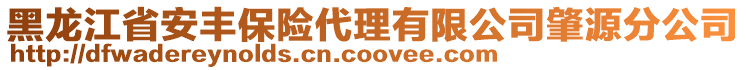 黑龍江省安豐保險代理有限公司肇源分公司