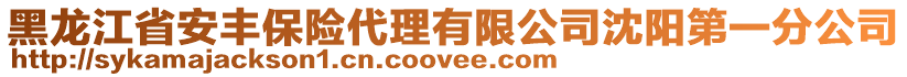 黑龍江省安豐保險代理有限公司沈陽第一分公司