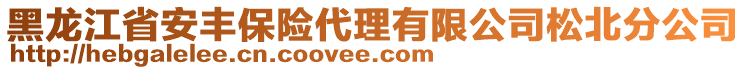 黑龍江省安豐保險代理有限公司松北分公司