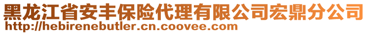 黑龍江省安豐保險代理有限公司宏鼎分公司