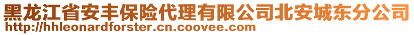 黑龍江省安豐保險(xiǎn)代理有限公司北安城東分公司